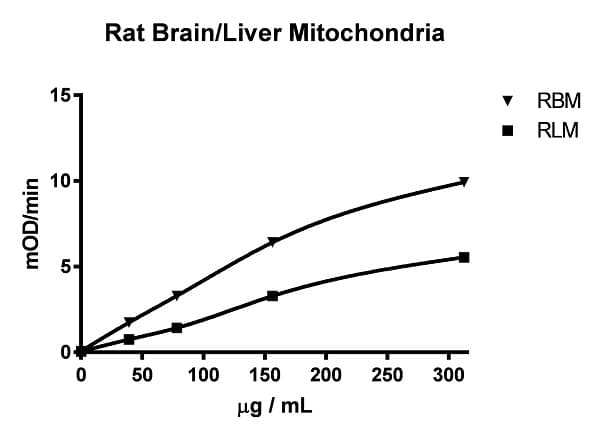 Complex I Enzyme Activity Microplate Assay Kit (Colorimetric)(AB109721)