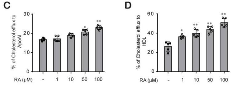 Cholesterol Efflux Assay Kit (Cell-based)(AB196985)
