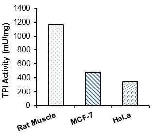 Triose Phosphate Isomerase (TPI) Activity Assay Kit (Colorimetric)(AB197001)