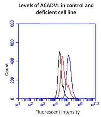 Fatty Acid Oxidation Assay Kit (flow cytometry)(AB118183)