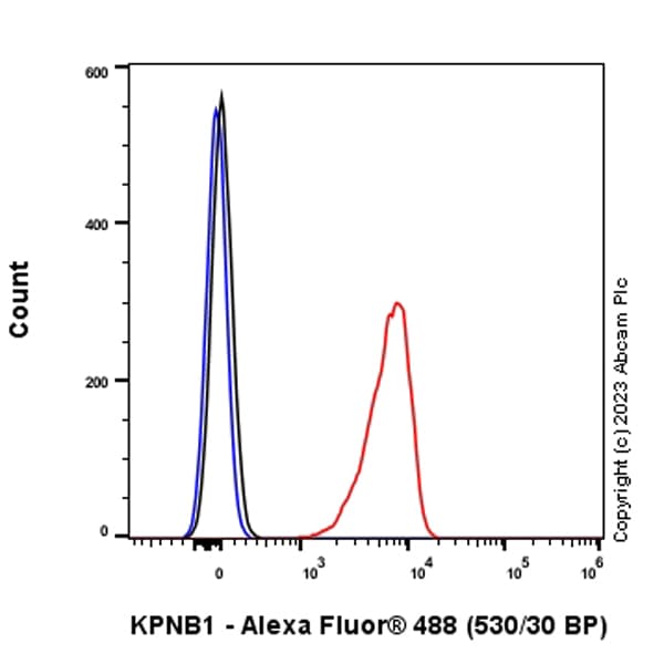 Anti-KPNB1 antibody [EPR26137-52](AB313370)