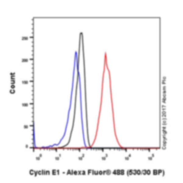 Anti-Cyclin E1 antibody [EPR194] - BSA and Azide free(AB208695)