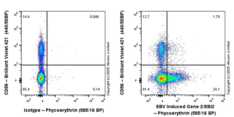 PE Rabbit IgG, monoclonal [EPR25A] - Isotype Control(AB209478)
