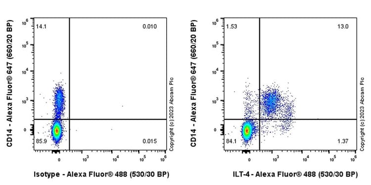 Alexa Fluor® 488 Rabbit IgG, monoclonal [EPR25A] - Isotype Control(AB199091)