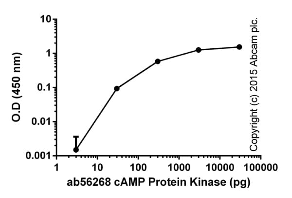 PKA Kinase Activity Assay Kit(AB139435)