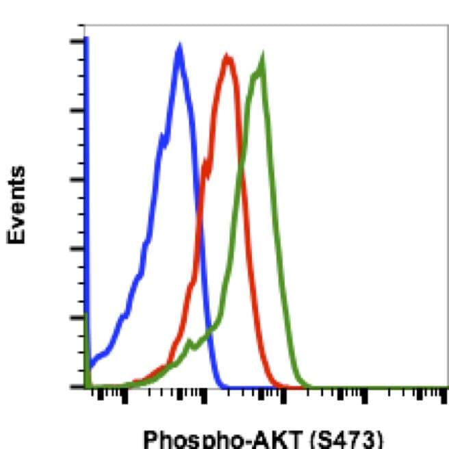 Anti-AKT1 (phospho S473) antibody [AktS473-B9](ab278559)