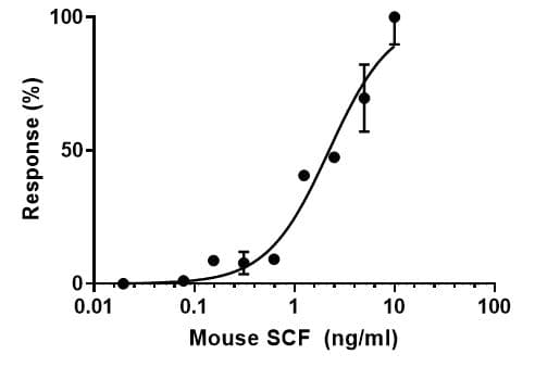 Recombinant mouse SCF protein (Active)(AB259390)