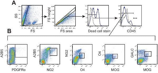 Pe R Phycoerythrin Conjugation Kit Lightning Link Ab102918 Flow Cytometry Img166372