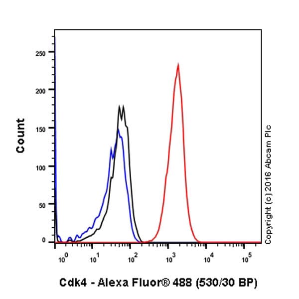 Anti-Cdk4 antibody [EPR4513-32-7](AB108357)