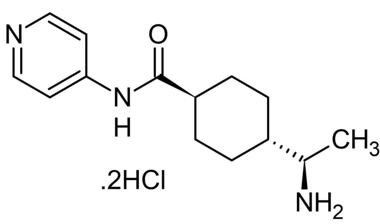 Y-27632 dihydrochloride (mM/ml), Rho kinase inhibitor(AB144494)