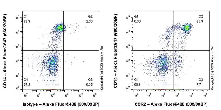 Anti-CCR2 antibody [EPR23494-47](AB254375)
