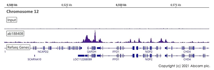 ChIP Kit (Transcription factors, ChIP-seq)(AB270813)