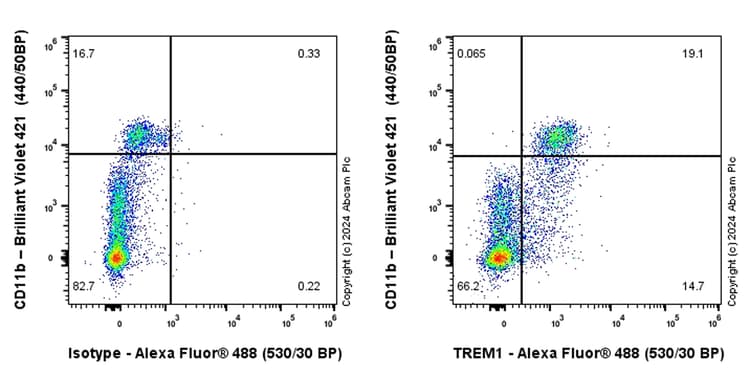 Alexa Fluor® 488 Rabbit IgG, monoclonal [EPR25A] - Isotype Control(AB199091)