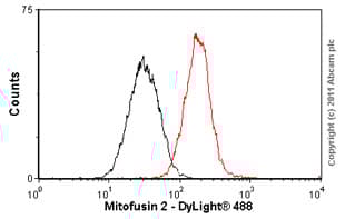 Anti-Mitofusin 2 antibody [6A8](ab56889)