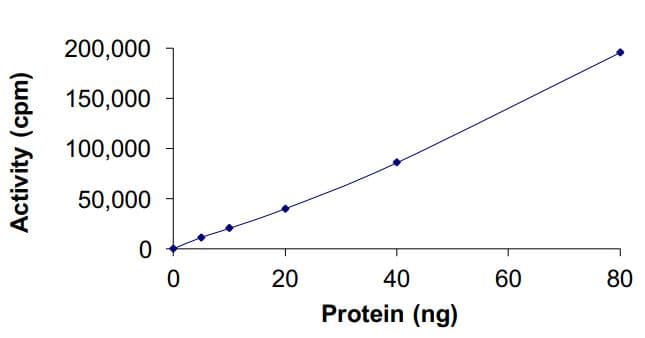 Recombinant human EGFR (mutated L858R) protein (Active)(ab268502)