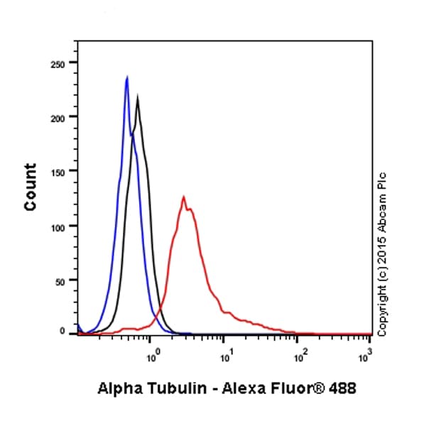 Anti-alpha Tubulin antibody - Microtubule Marker(AB18251)