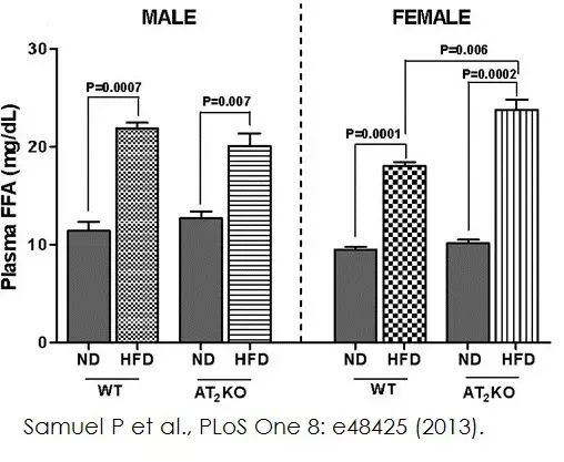 Free Fatty Acid Assay Kit - Quantification(AB65341)