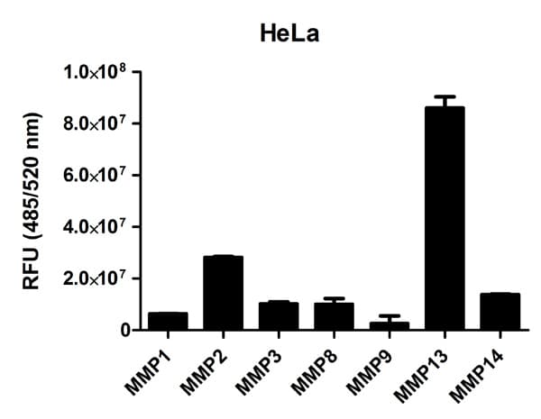 MMP Activity Assay Kit (Fluorometric - Green)(AB112146)