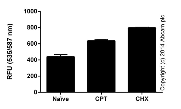 Calpain Activity Assay Kit(ab65308)