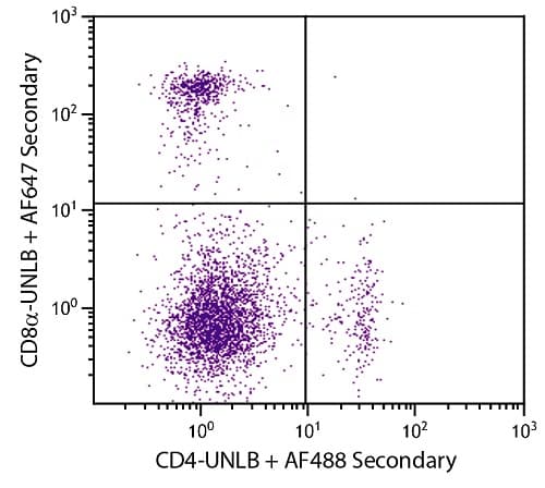 Anti-CD8 alpha antibody [53-6.7](AB25478)