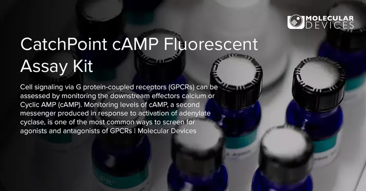 Moldev Catchpoint Camp Fluorescent Assay Kit Hero