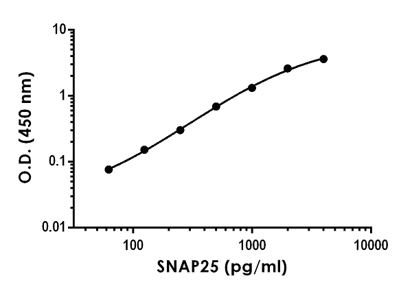 Anti-SNAP25 antibody [EPR20249-110] - BSA and Azide free (Capture)(AB252660)