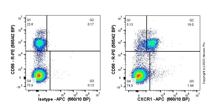 APC Rabbit IgG, monoclonal [EPR25A] - Isotype Control(AB232814)