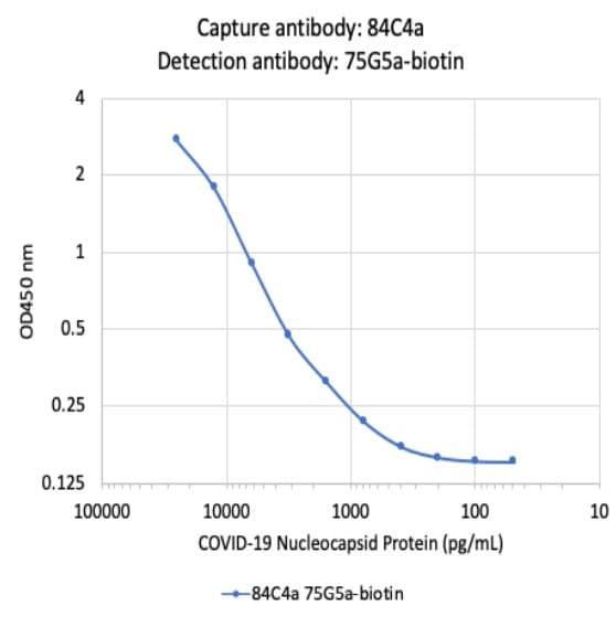 Biotin Anti-SARS-CoV-2 nucleocapsid protein antibody [75G5a](AB284654)