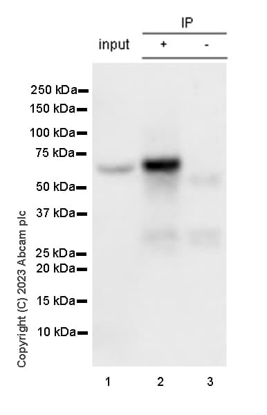 Mouse IgG1, kappa monoclonal [MOPC-21] - isotype control(AB18443)