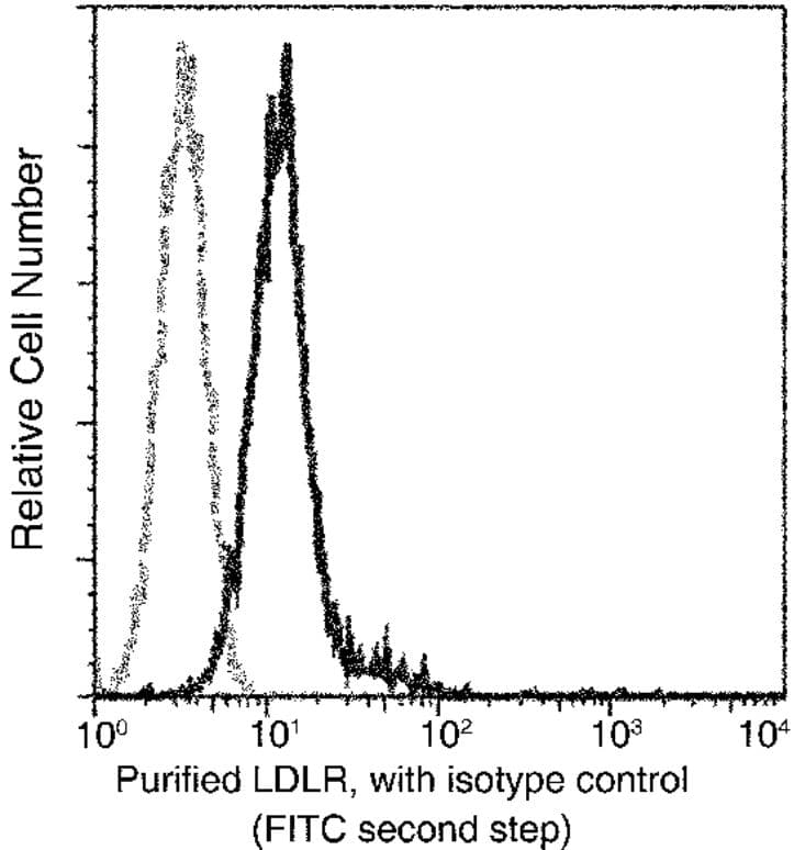 Anti-LDL Receptor antibody [032] - BSA and Azide free(AB277134)