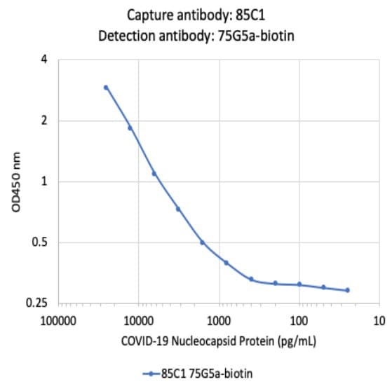 Biotin Anti-SARS-CoV-2 nucleocapsid protein antibody [75G5a](AB284654)