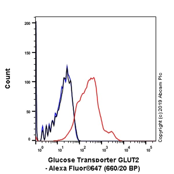 Anti-Glucose Transporter GLUT2 antibody [EPR22946-74](AB234440)
