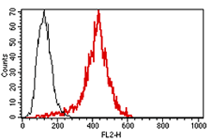 PE Anti-Perforin antibody [B-D48](AB47226)