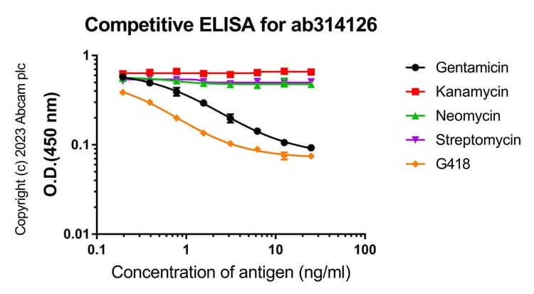 Gentamicin Antibody Epr27991 65 Bsa And Azide Free Ab314127  Competitive Elisa Img419921