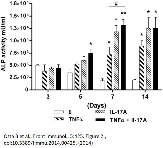 Alkaline Phosphatase Assay Kit (Fluorometric)(ab83371)