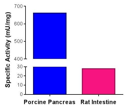 Phospholipase A2 Activity Assay Kit (Fluorometric)(AB273278)