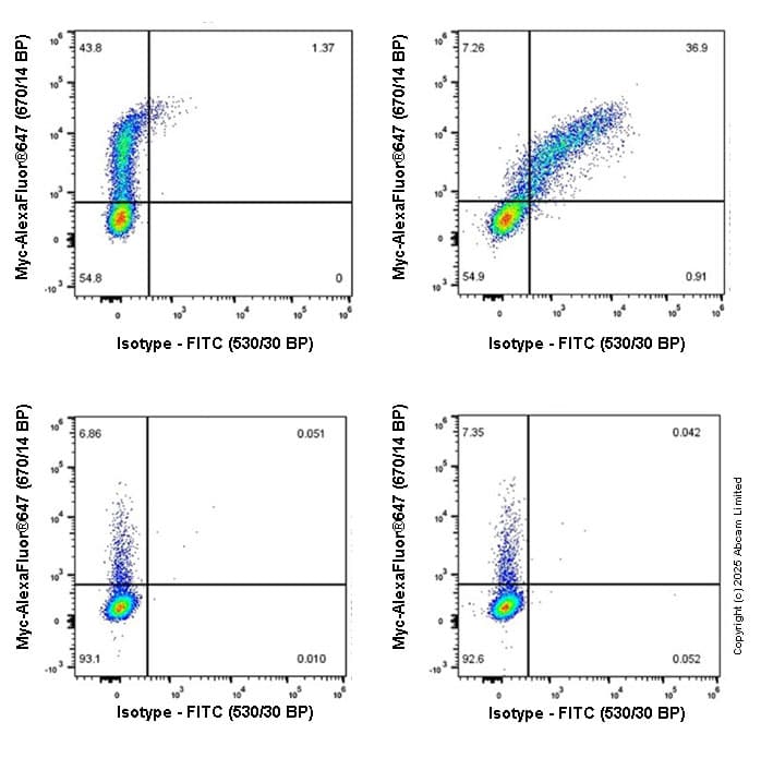 FITC Rabbit IgG, monoclonal [EPR25A] - Isotype Control(AB223339)