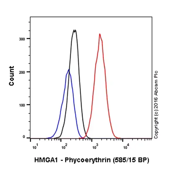 PE Rabbit IgG, monoclonal [EPR25A] - Isotype Control(AB209478)