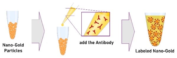 Gold Conjugation Kit (10 nm, 20 OD)(AB201808)