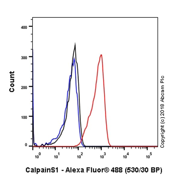 Anti-Calpain small subunit 1 antibody [SP81](AB101683)