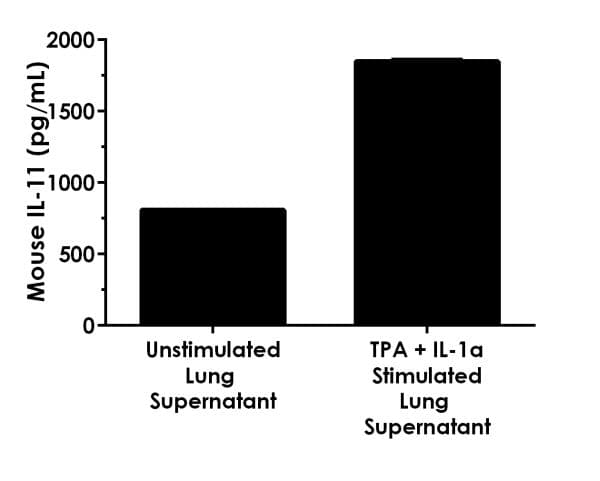 Mouse IL-11 ELISA Kit(ab215084)