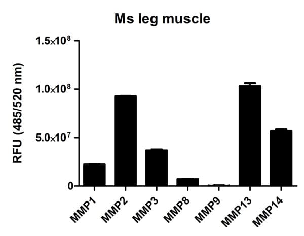 MMP Activity Assay Kit (Fluorometric - Green)(AB112146)