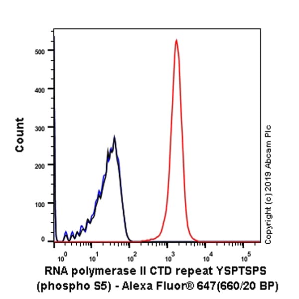 Alexa Fluor® 647 Anti-RNA polymerase II CTD repeat YSPTSPS (phospho S5) antibody [EPR19015](AB237277)