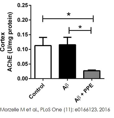 Acetylcholinesterase Assay Kit (Colorimetric)(AB138871)