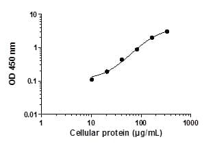 SMAD1 (pS463/465) ELISA Kit(AB186036)