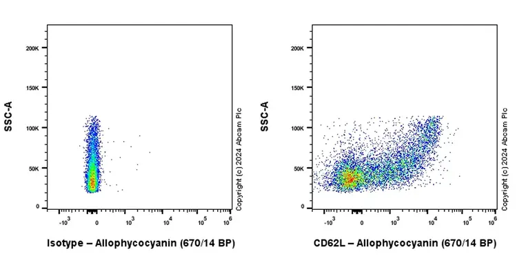 APC Rabbit IgG, monoclonal [EPR25A] - Isotype Control(AB232814)
