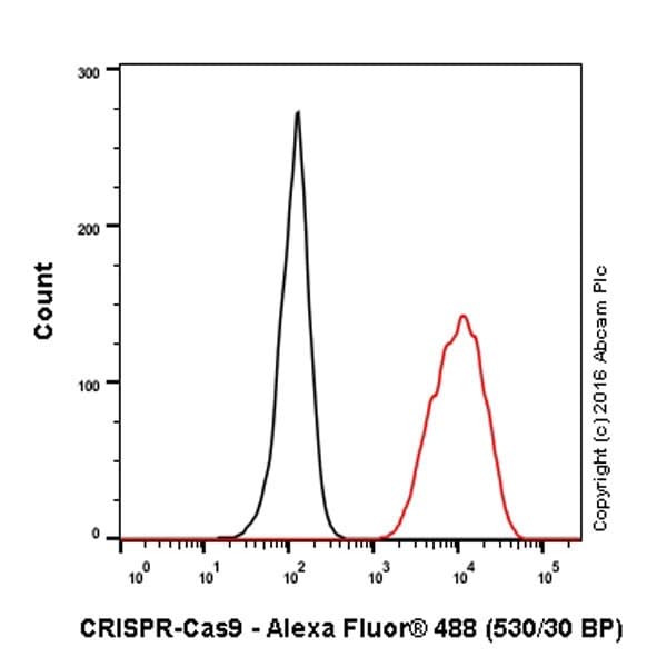 Anti-CRISPR-Cas9 antibody [EPR19620](AB202638)