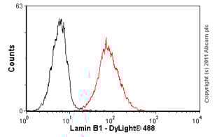 Anti-Lamin B1 antibody [119D5-F1] - Nuclear Envelope Marker(ab8982)
