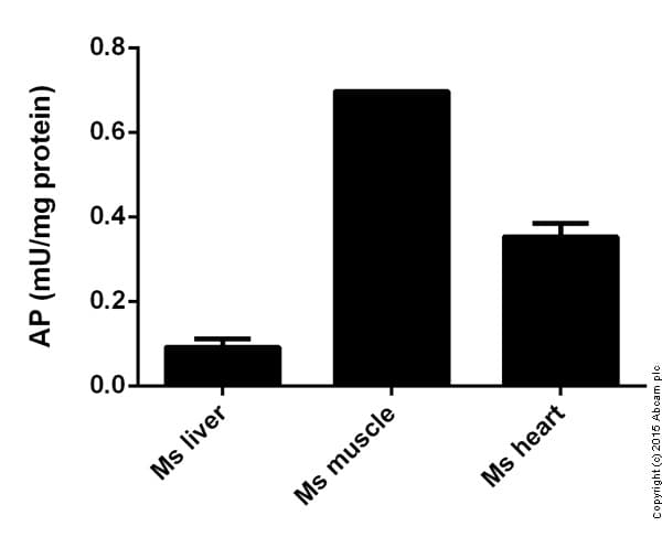 Alkaline Phosphatase Assay Kit (Fluorometric)(ab83371)