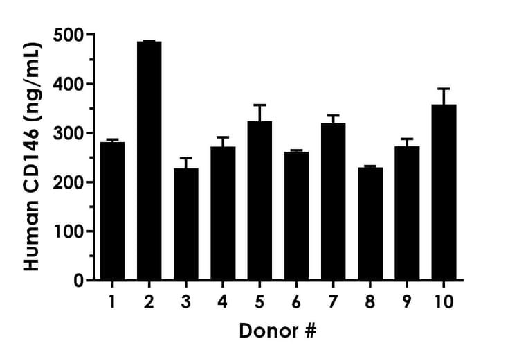 Human CD146 ELISA Kit(AB315318)